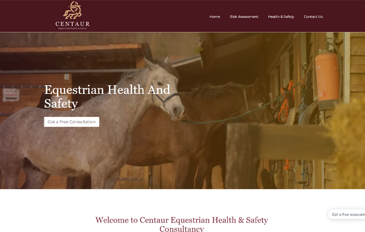 Website Design for Equestrian Health and Safety | Centaur Equestrian H&S