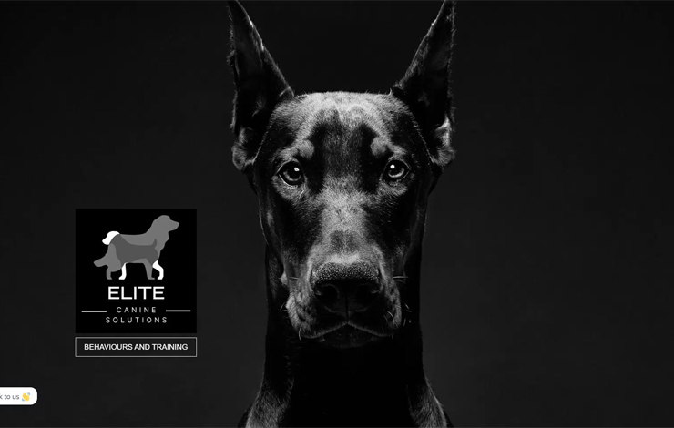 Website Design for Expert Dog Behaviourist in Hampshire | Elite Canine Solutions