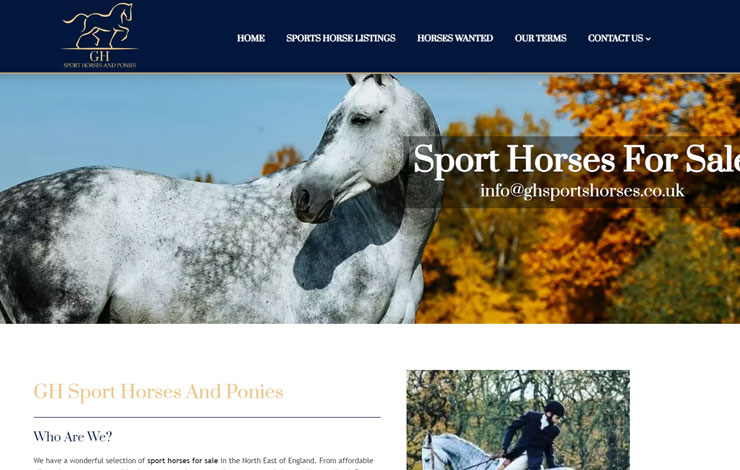 Website Design for Sport Horses For Sale | North East Sport Horses