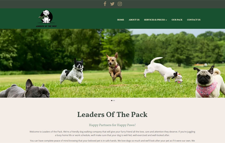 Leaders Of The Pack | Dog Walker Worthing