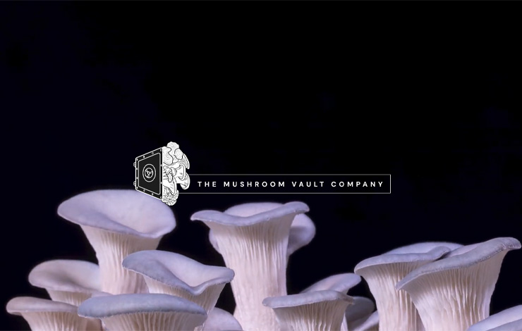 Website Design for Gourmet Mushrooms | The Mushroom Vault Company