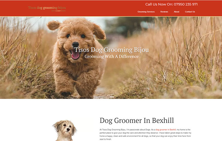 Dog Groomer in Bexhill | Tisos Dog Grooming