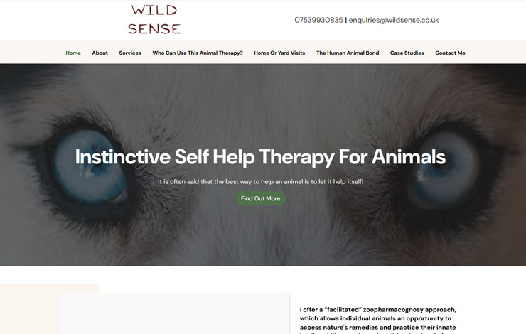 Therapy for animals | Wild Sense