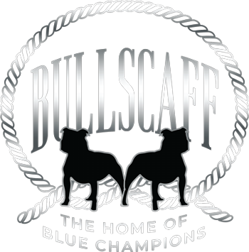 Bullscaff logo